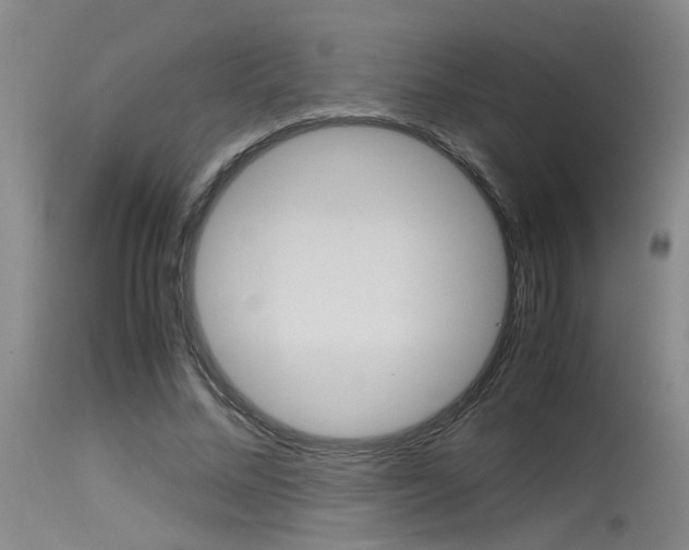 X0000115540684200911061150