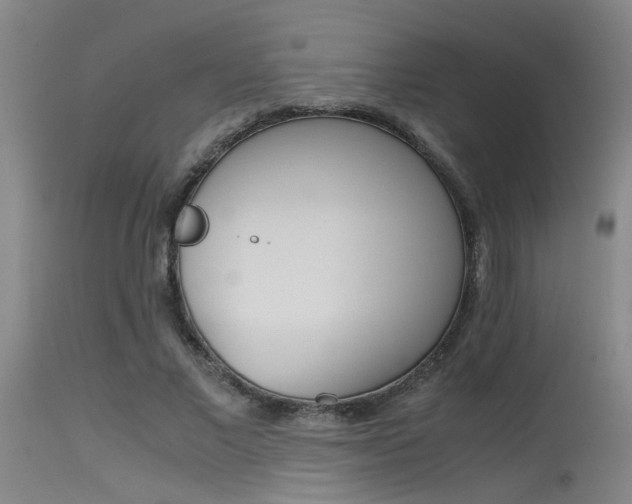 X0000115540685200911061150