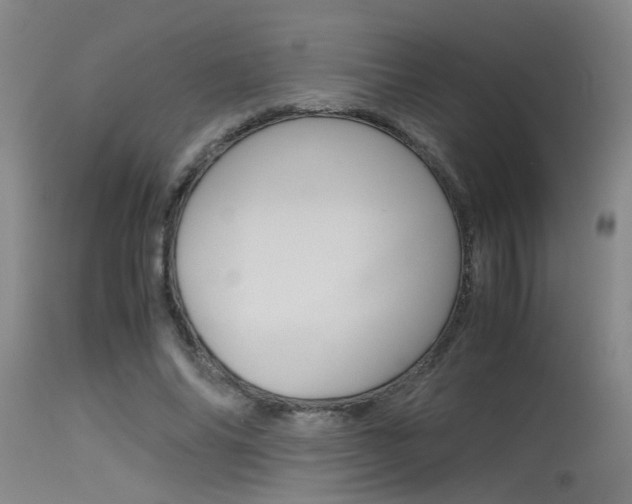 X0000115540686200911061150