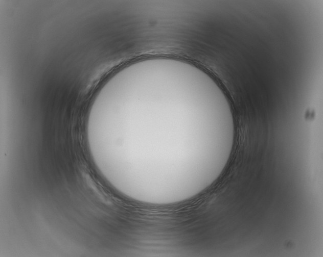 X0000115540688200911061150