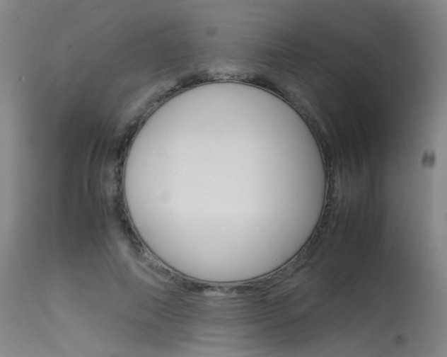 X0000115540690200911061150