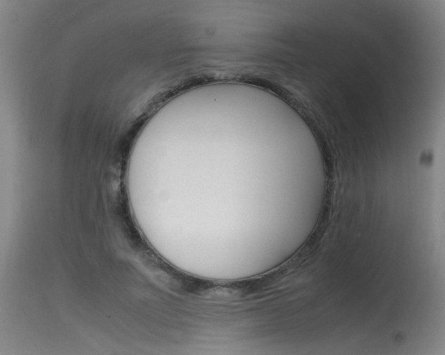 X0000115540691200911061150