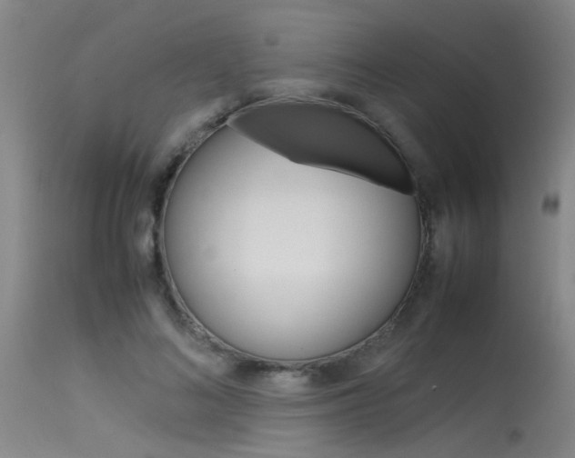 X0000115540692200911061150