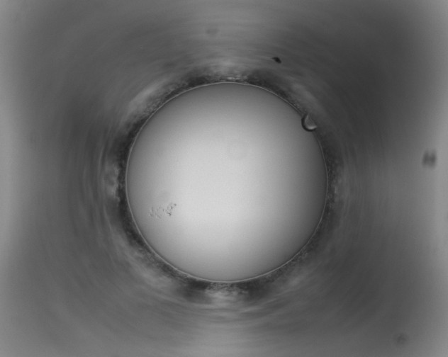 X0000115540693200911061150