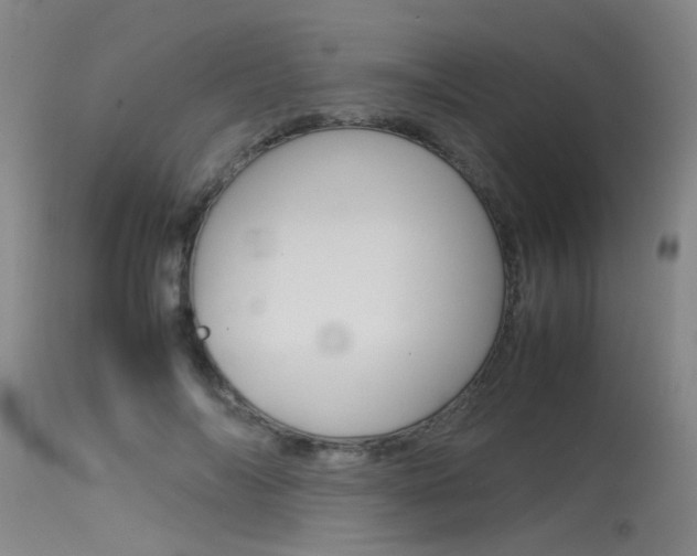 X0000115540694200911061150