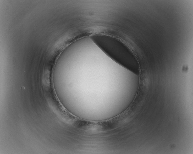 X0000115540696200911061150