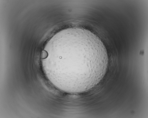 X0000115540698200911061150