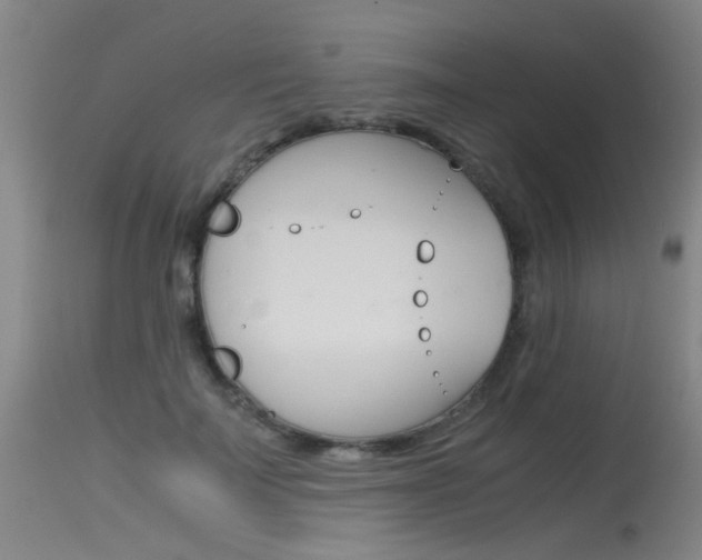 X0000115540699200911061150