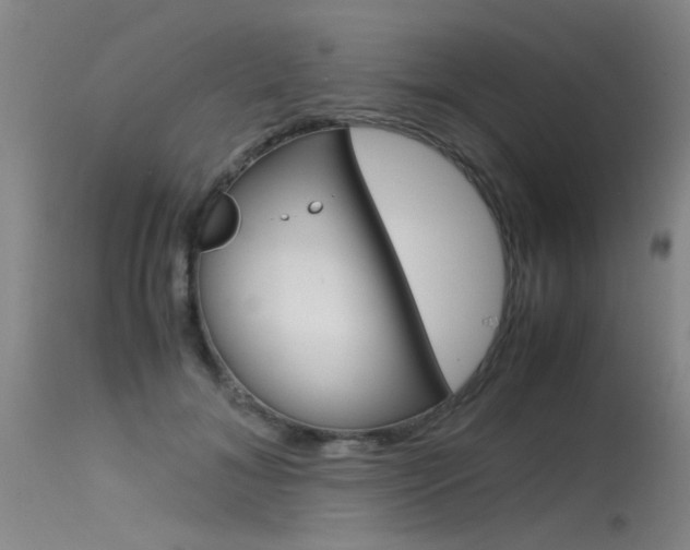 X0000115540700200911061150
