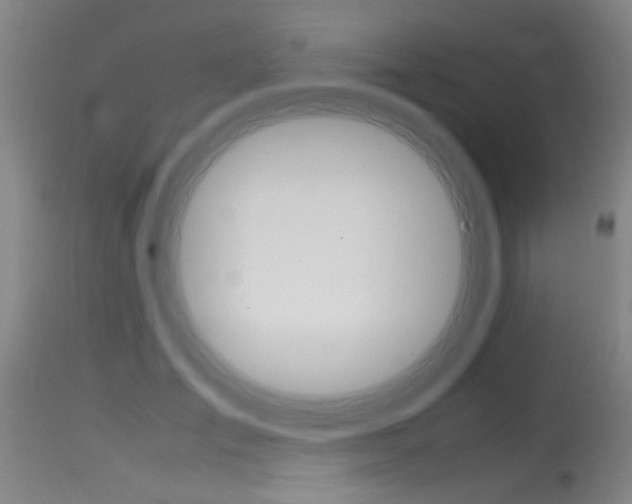 X0000115540701200911061150