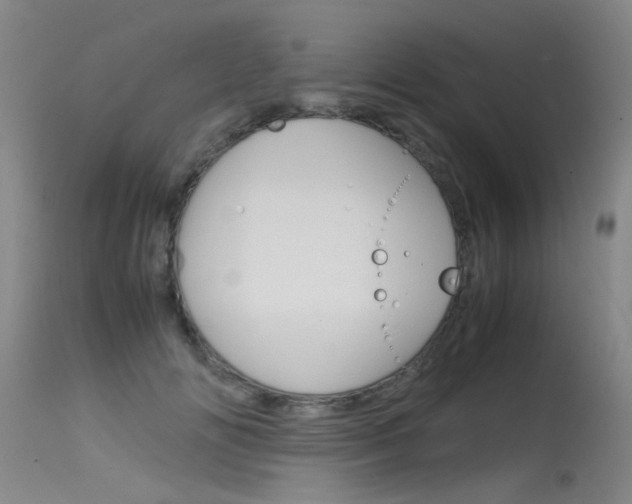 X0000115540702200911061150