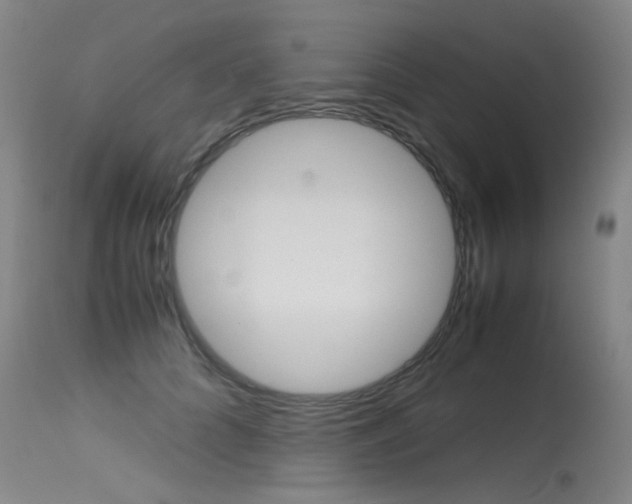 X0000115540704200911061150