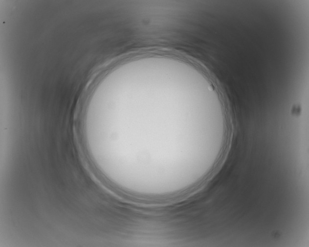 X0000115540705200911061150