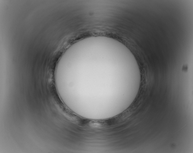 X0000115540706200911061150