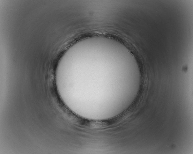 X0000115540707200911061150
