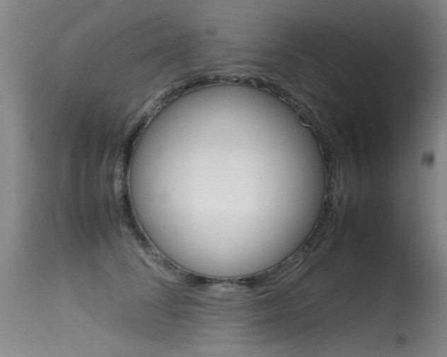 X0000115540708200911061150
