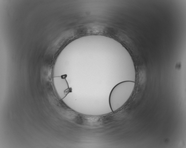 X0000115540709200911061150