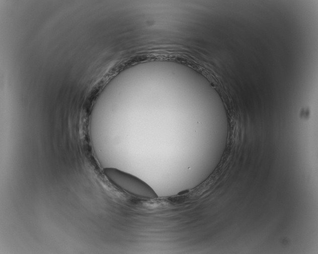 X0000115540712200911061150