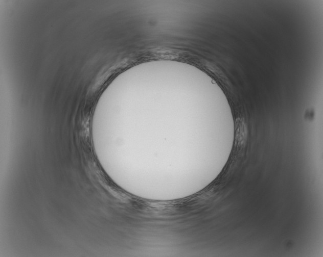 X0000115540713200911061150
