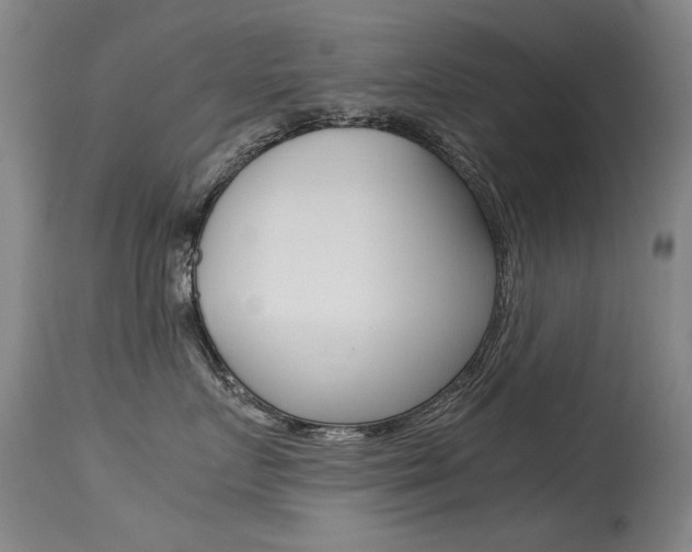 X0000115540719200911061150