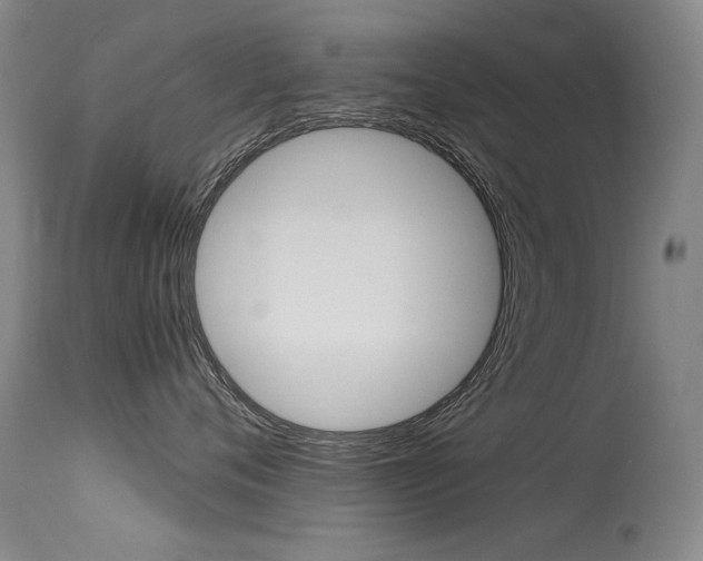 X0000115540720200911061150
