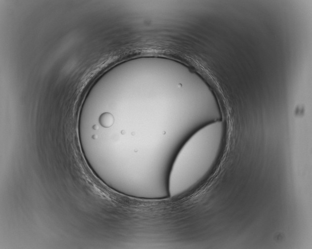 X0000115540721200911061149