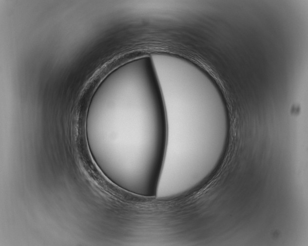 X0000115540722200911061149