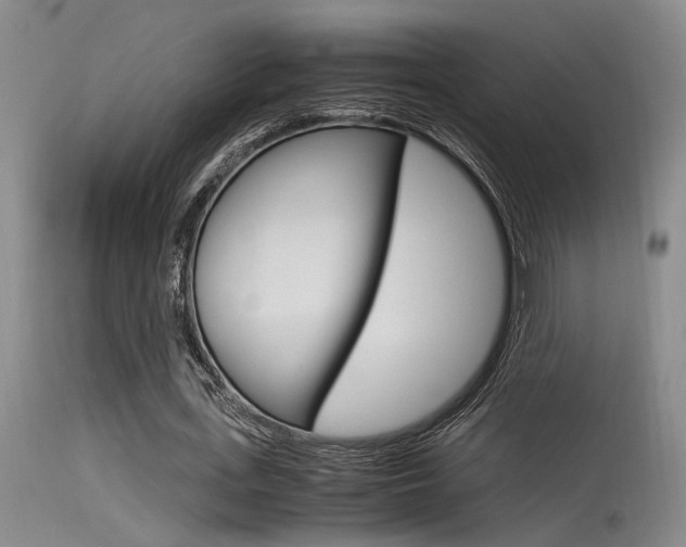 X0000115540723200911061149