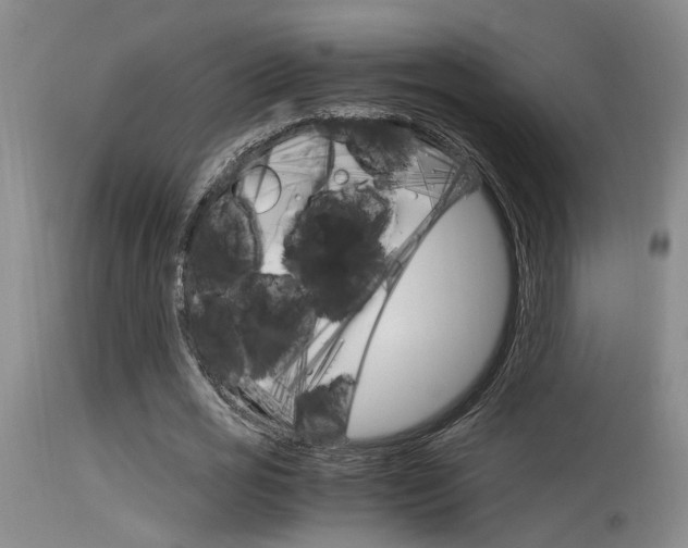 X0000115540725200911061149