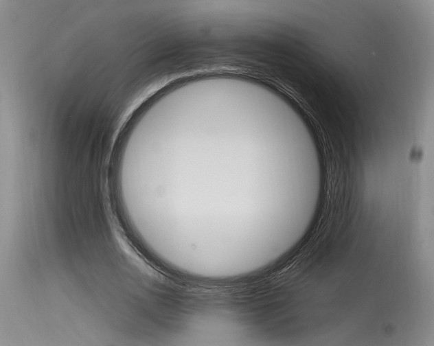 X0000115540726200911061149