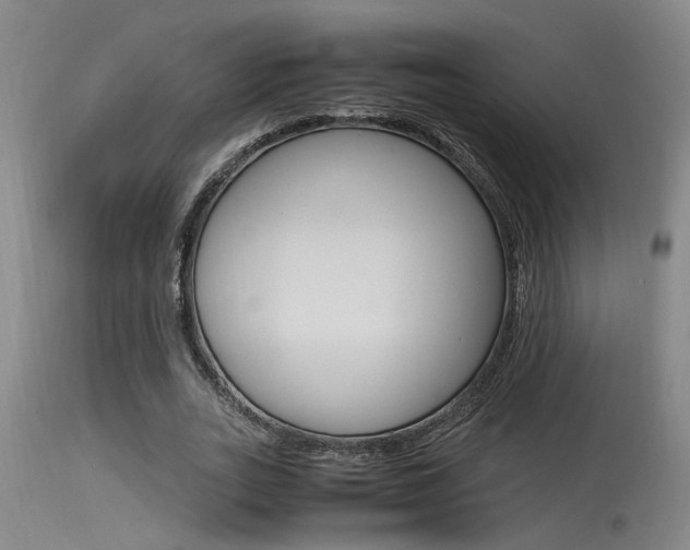 X0000115540727200911061149