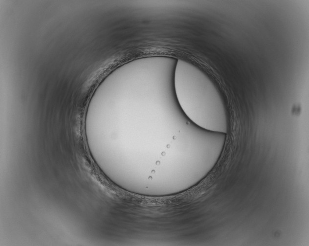 X0000115540729200911061149