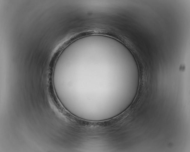 X0000115540730200911061149