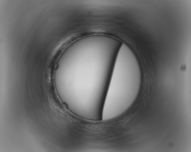 X0000115540731200911061149