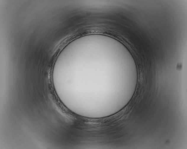 X0000115540733200911061149