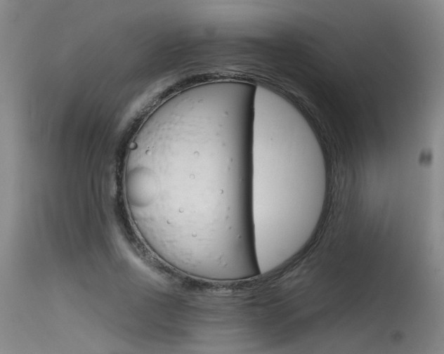 X0000115540734200911061149