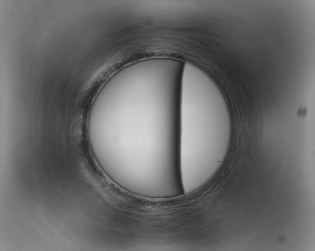 X0000115540735200911061149