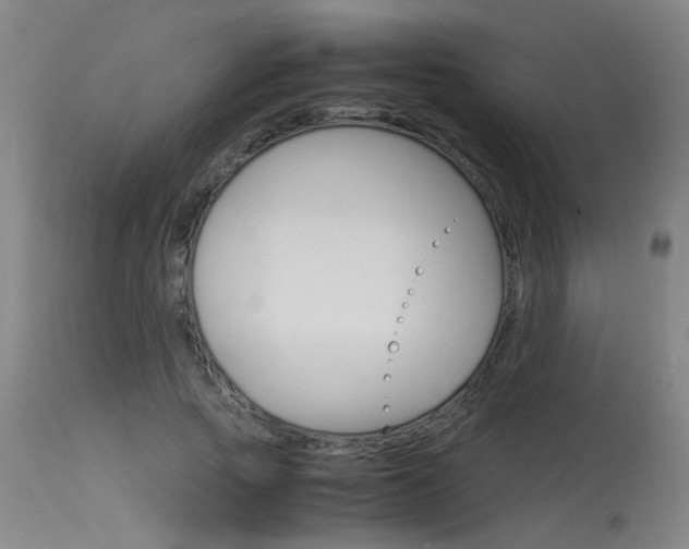 X0000115540737200911061149