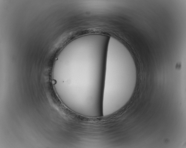X0000115540738200911061149
