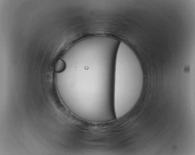 X0000115540739200911061149