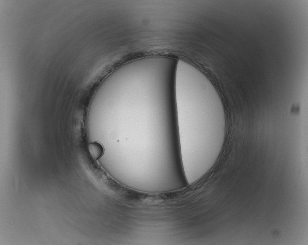 X0000115540742200911061150