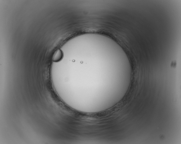 X0000115540743200911061150