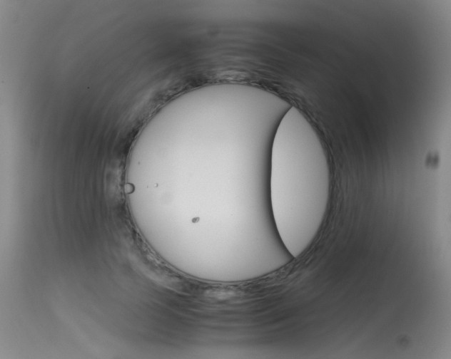 X0000115540745200911061150