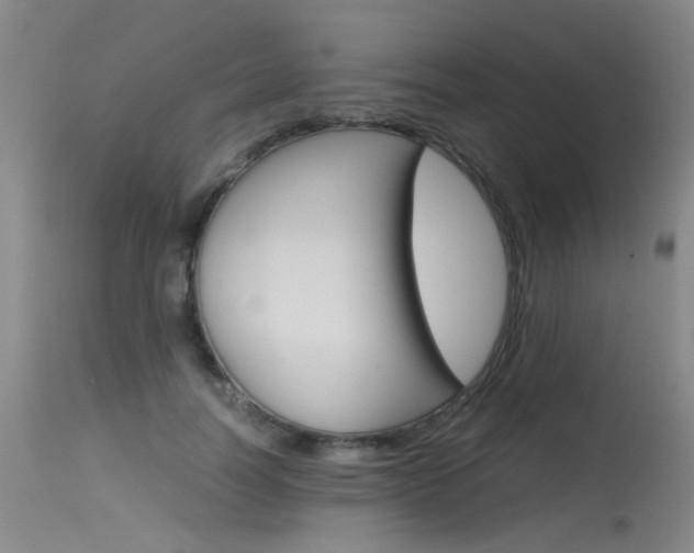 X0000115540746200911061150