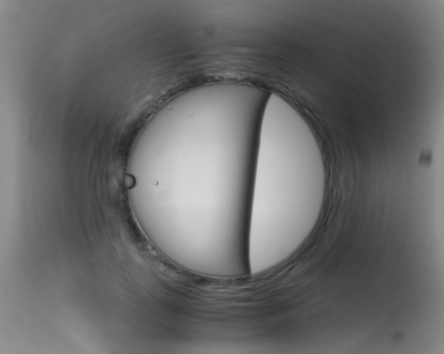 X0000115540747200911061150