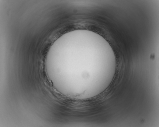 X0000115540749200911061150