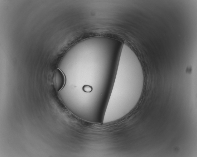 X0000115540750200911061150