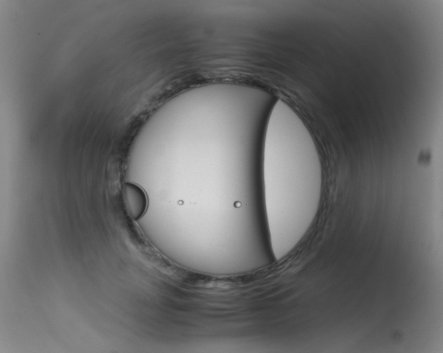 X0000115540751200911061150
