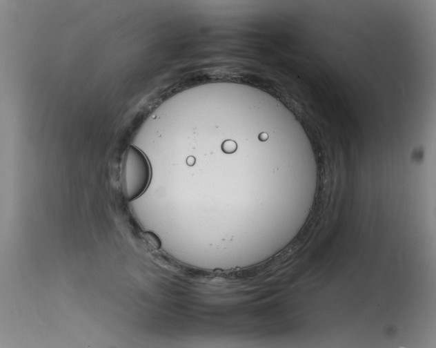 X0000115540755200911061150