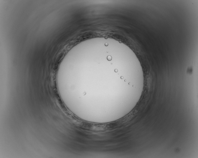 X0000115540757200911061150
